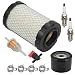 Harbot D125 MIU14395 Air Filter for John Deere D100 D105 D125 D130 D140 D110 E140 E130 E100 E120 LA145 LA135 Z255 Z235 X330 Lawn Tractor with Tune Up Kit (Two Cylinder Engine)