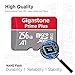 [5-Yrs Free Data Recovery] GIGASTONE 256GB Micro SD Card, 4K Game Turbo, MicroSDXC Memory Card for Nintendo-Switch 1, GoPro, Action Camera, DJI, UHD Video, R/W up to 100/60MB/s, UHS-I U3 A2 V30 C10