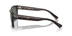 Ray-Ban Men's RB4396 Warren Rectangular
