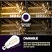Dimmable LED Edison Bulb E26 Base 60 Watt Equivalent 2700K Warm White Filament Light Bulb 800Lm High CRI Clear Brightness Vintage Bulb for Pendant Lamp 4-Pack