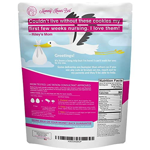 Lactation Cookies Mix Oatmeal Chocolate Chip Breastfeeding Cookie