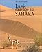 La vie sauvage au Sahara by 