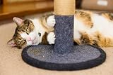 Petface Catkins Crazy Catnip Natural Wild Catnip 15 g Pack view 5