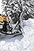 WARN 79608 ProVantage ATV Front Plow Mount Kit