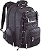 Targus Matrix Notebook Backpack fits up to 15.4-Inch Laptop, Metallic Black (RG0322)