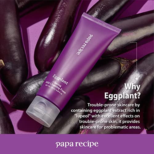 Acne Care Cleansing Foam by Papa Recipe Sensitive Skin Solution with