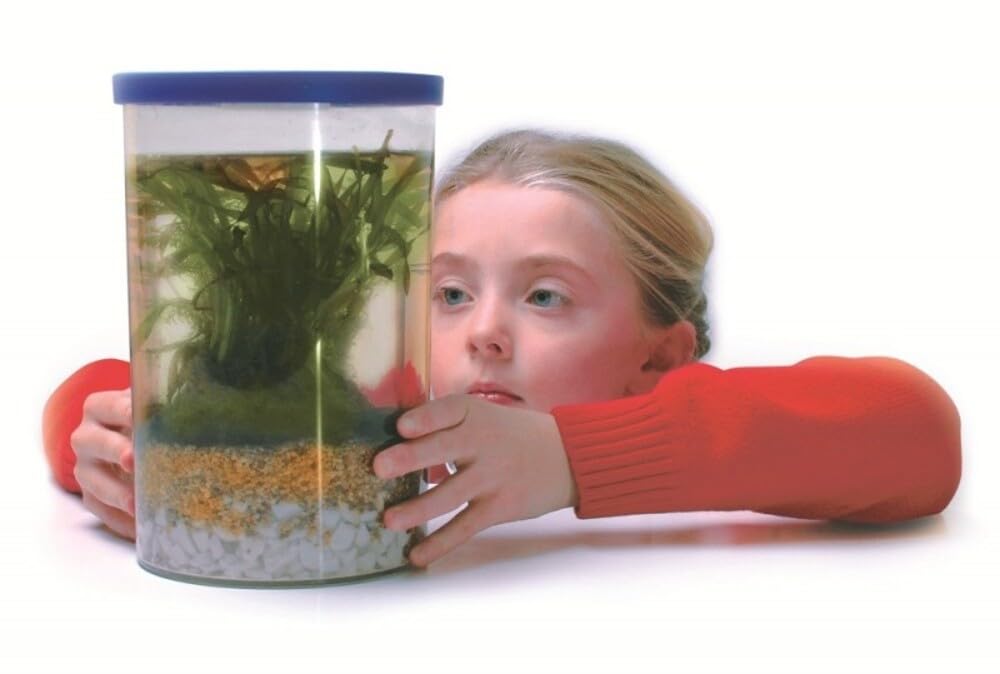 Invicta Education Underwater Explorer