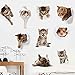 Amaonm 9 PCS Removable 3D Cute Animals Wall Decals Lovely Cat Dog Hamster Through The Wall Fun Kids Room Stickers Nursery Room Wall Art Decor Bathroom Decal Babys Stickers Classroom Decoration Decal