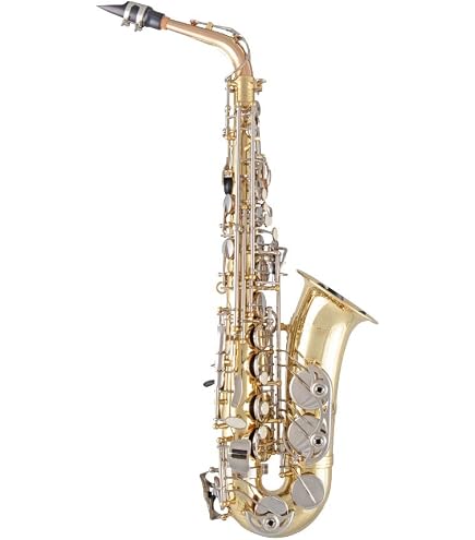 Amazon.com: Prelude by Selmer AS111 Student Alto Saxophone