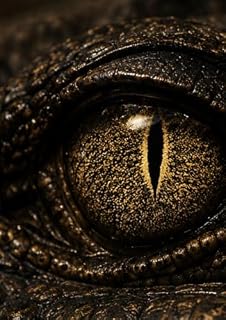 Livro Crocodilianos — O Guia Definitivo (Universos)