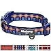 Blueberry Pet 5 Patterns Soft & Comfortable Scottish Highland Impression Abstract Plaid Designer Padded Dog Collar, Large, Neck 18