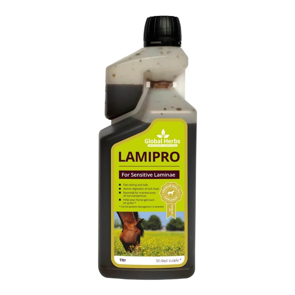 Global Herbs LamiPro Liquid Equine Fast-Acting Laminitis & Metabolic Support 500ml