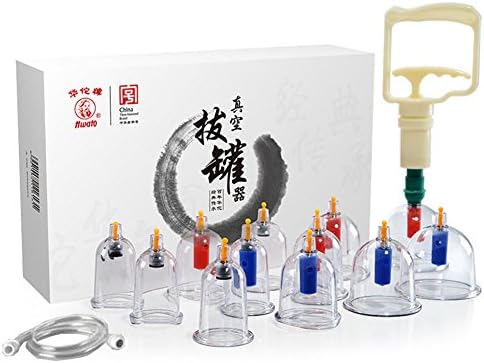 Phoenixes Chinese Cupping Therapy Sets with Pump, Vacuum Professional Biomagnetic Cupping Therapy Gift (B12 Cup)