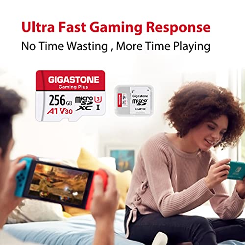 Gigastone 256GB 2Pack Micro SD Card, Gaming Plus, NintendoSwitch Compatible, R/W 100/60MB/s