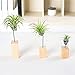 Yugust Air Plant Stand Holder,3Pcs Wooden Base Flower Stand with Copper Wire,Iron Wire Landscape Holder Airplant Container Tabletop Tillandsia Planter Desk Display Rackthumb 1