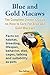 Blue and Gold Macaws, The Complete Owner's Guide on How to Care For Blue and Yellow Macaws, Facts on by