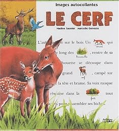 Le  cerf