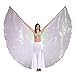 Dance Fairy Belly Dance LED Angel Isis Wings with Flexible Sticks