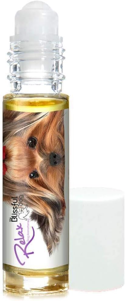 yorkshire terrier anxiety