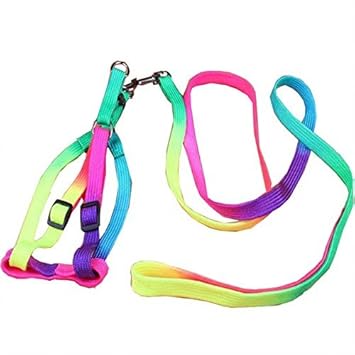 Pets Empire Colourful Adjustable Nylon Puppy Leash Harness, Small