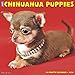 Just Chihuahua Puppies 2020 Wall Calendar (Dog Breed Calendar) by 