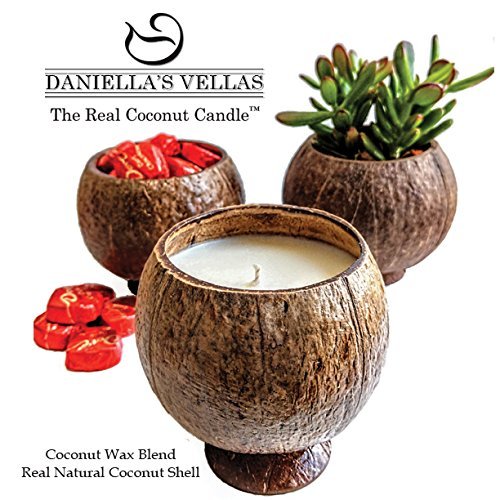 image for Daniella's Vellas The Real Coconut Candle™, Pina Colada Fragrance, H