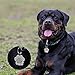Didog Glitter Paw Print Pet ID Tags for Small Dogs and Cats,Personalized Engraving
