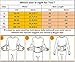VENUZOR Waist Trainer Belt for Women - Waist Cincher Trimmer - Slimming Body Shaper Belt - Sport Girdle Belt (UP Graded)