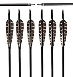 ARCHERY SHARLY [Pack of 6] 31Inch Carbon Targeting Practice Arrows Turkey Feather Fletching Arrows with Removable Tips for Recurve Traditional Long Bow