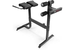 CAPHAUS Adjustable Hyperextension 90 Degree Strength Roman Chair with Handle, Ab Bench Multi-Functional Weight Bench, Muscle Strength Training Fitness Back Machines for Full Body Workout
