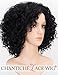 Chantiche Black Wig Synthetic, Short Curly Wig for Women Heat Resistant Synthetic Wigs 1B (GL-0504)