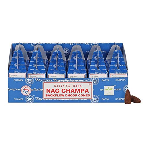 Avasee Nag Champa Incense Cones - 1 Box of 24 Cones
