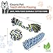 Dog Rope & Chew Toy 10 Pack Set | Puppy Starter Kit | For Small to Medium Dogs, Interactive Variety Toys w/Nylon Storage Bag | For Tug of War, Ball, Teething Puppies