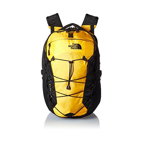 yellow borealis backpack