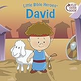 David (Little Bible HeroesTM)
