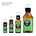Edens Garden Stay Alert 10 ml Synergy Blend 100% Pure Undiluted Therapeutic Grade GC/MS Certified Essential Oil