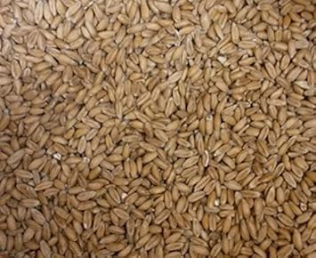 iffland MERINO EUROPA Kiloware Dinkelkörner, Dinkel, z. Nachfüllen v. Dinkelkissen oder Wärmekissen (3kg)
