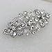 Faship Gorgeous Clear Crystal Floral Hair Barrette Clip