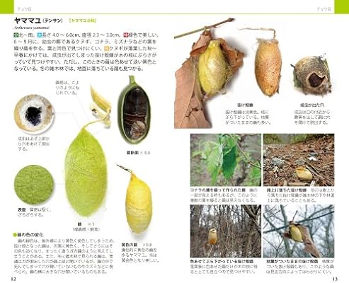 繭ハンドブック 三田村 敏正 本 通販 Amazon