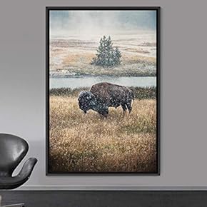 signwin Framed Canvas Wall Art Bison Animals Expressive...