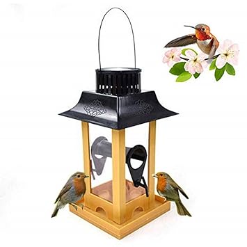 Buy Womdee Solar Bird Feeder For Outdoor Automatic Wild