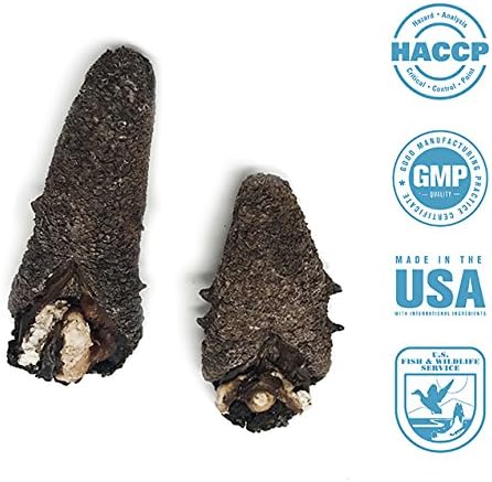 SEABENEFIT Eight Pin Medium - Wild Caught Sea Cucumber Dried All Natural Nutritious - 8 oz.