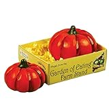The Queen's Treasures Farm Fresh Set of 2 18 Inch Doll Pumpkins Packed in a Paper Veggie Crate! Food Kitchen Accessories Fits American Girl Dolls & More. Use Interchangeable Farm Stand