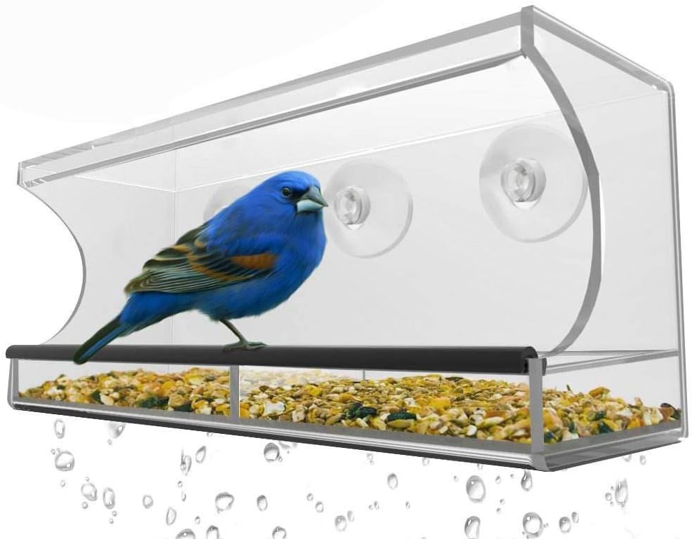Amazon Com Lanscoery Clear Acrylic Window Bird Feeder With