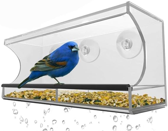 Amazon Com Lanscoery Clear Acrylic Window Bird Feeder With