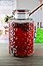 Circleware Circles Glass Beverage Dispenser with Hermetic Locking Lid Glassware for Water, Iced Tea Kombucha, Punch and all type of Cold Drinks, 2.4 Gallons
