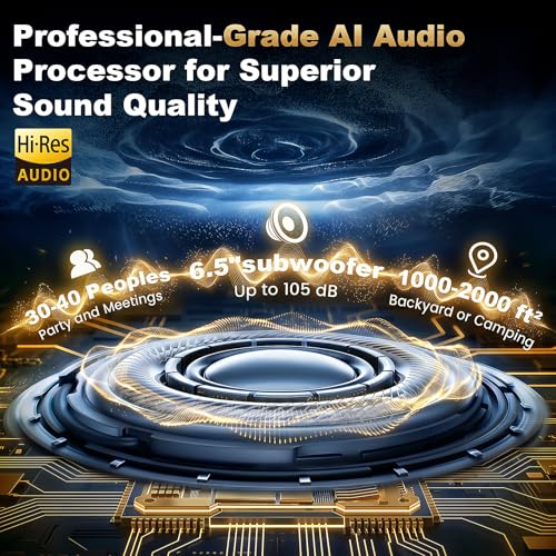 HWWR Karaoke Portable Bluetooth 5.3 Speaker with 2 Wireless Microphones for Adults, PA System with Echo Adjustment, Support TWS/TF Card/USB/AUX/TV Connected for Home Party Stage