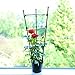 Anleo Plant Support Ring Garden Trellis Flower Iron Support Climbing Plant Grow Cage with Adjustable Rings