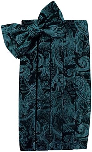 Cardi Men's Tapestry Paisley Bowtie and Cummerbund Set