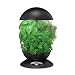 Miracle-Gro AeroGarden 3-Pod Indoor Garden with Gourmet Herb Seed Kit, Black